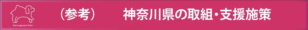 （参考）神奈川県の取組・支援施策
